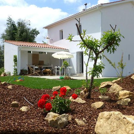Casa Do Olival Villa Figueiro Dos Vinhos Kültér fotó
