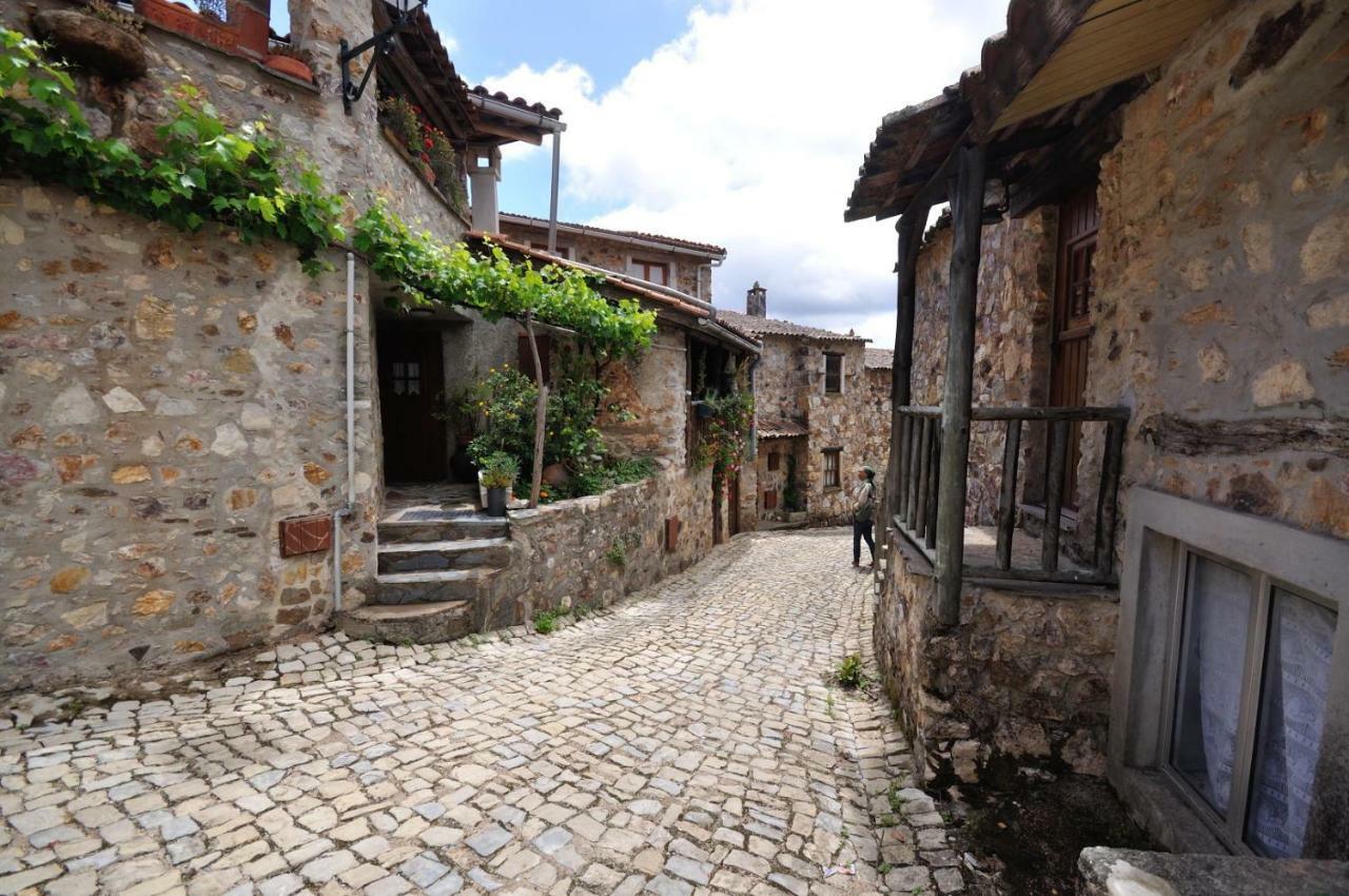 Casa Do Olival Villa Figueiro Dos Vinhos Kültér fotó