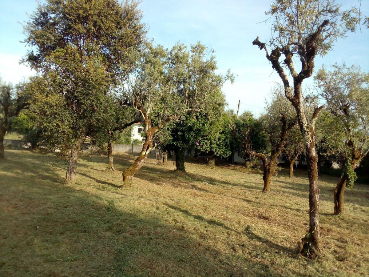 Casa Do Olival Villa Figueiro Dos Vinhos Kültér fotó