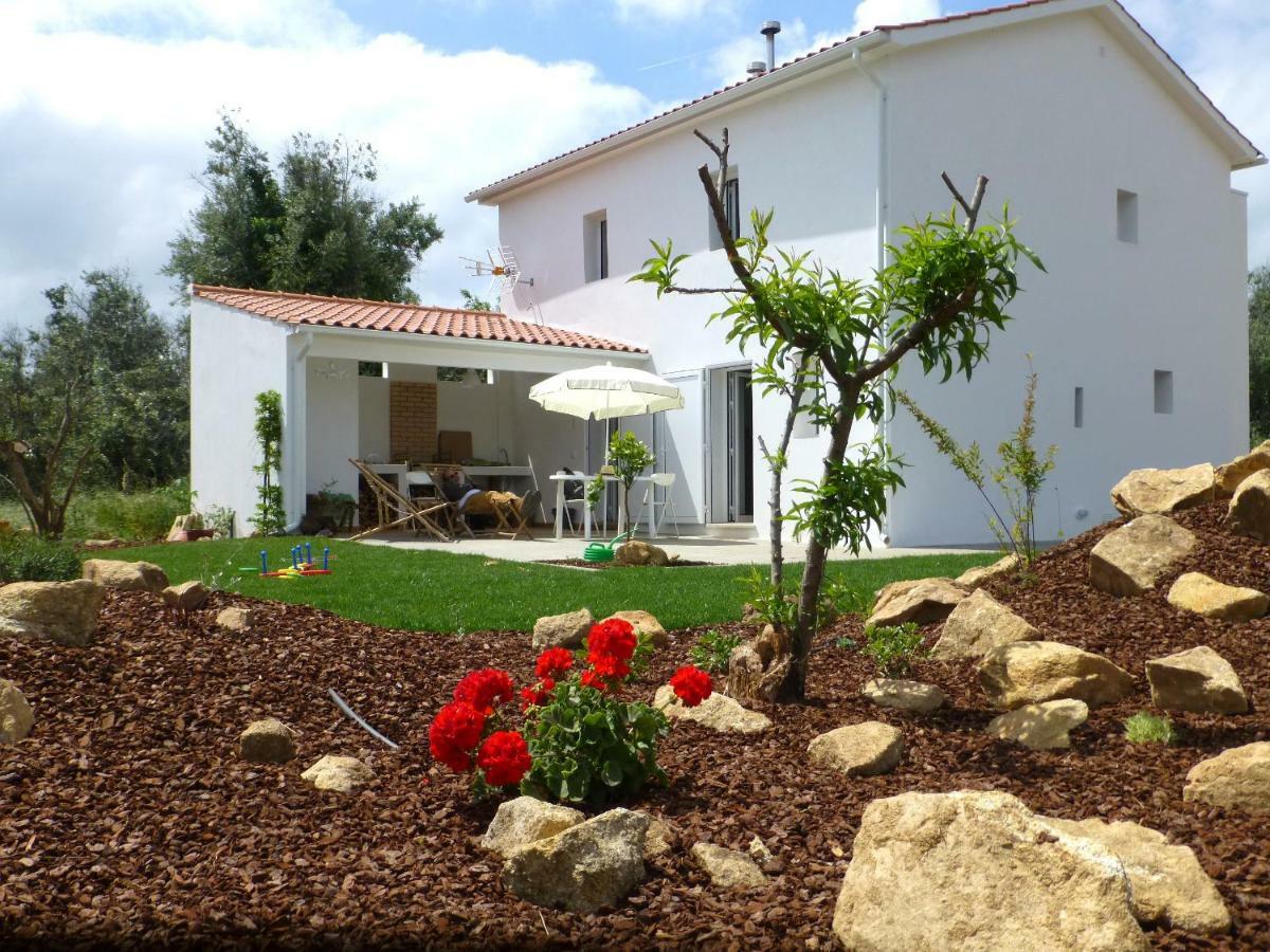 Casa Do Olival Villa Figueiro Dos Vinhos Kültér fotó