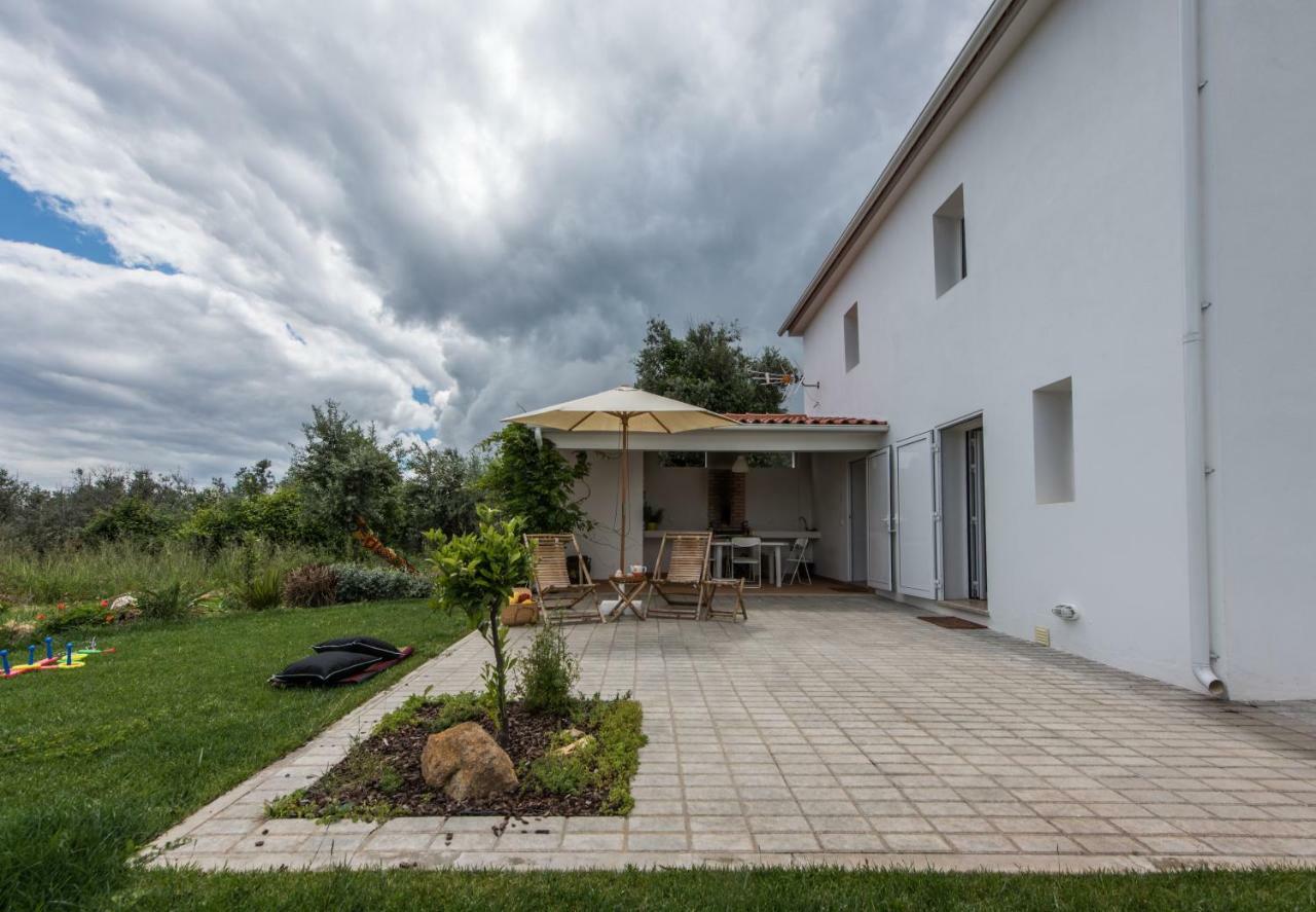 Casa Do Olival Villa Figueiro Dos Vinhos Kültér fotó