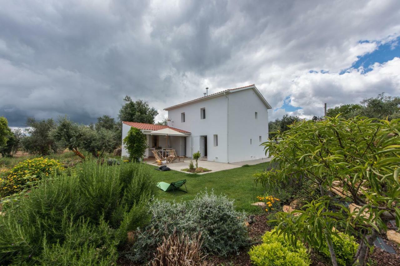 Casa Do Olival Villa Figueiro Dos Vinhos Kültér fotó